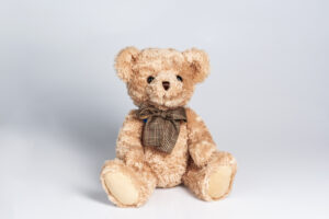 Teddybär Brummi ist eine bärenstarke Unterstützung für die Palliative Pflege des Zürcher Lighthouse, Danke für jede Bestellung im Onlineshop