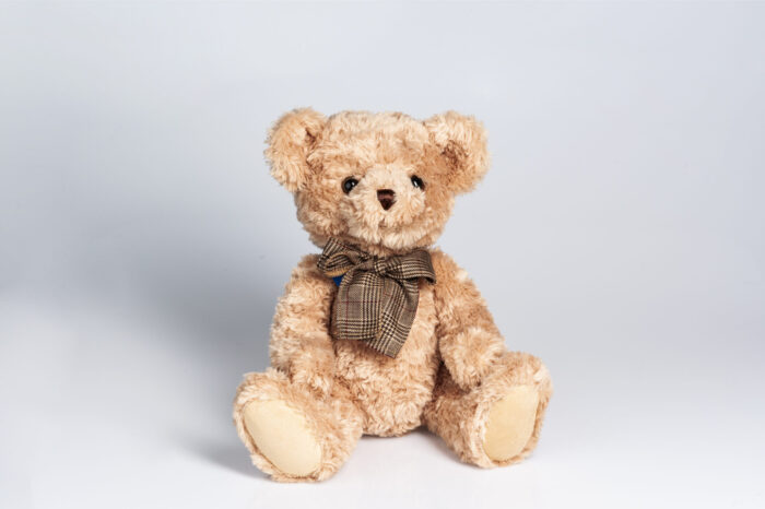 Teddybär Brummi ist eine bärenstarke Unterstützung für die Palliative Pflege des Zürcher Lighthouse, Danke für jede Bestellung im Onlineshop