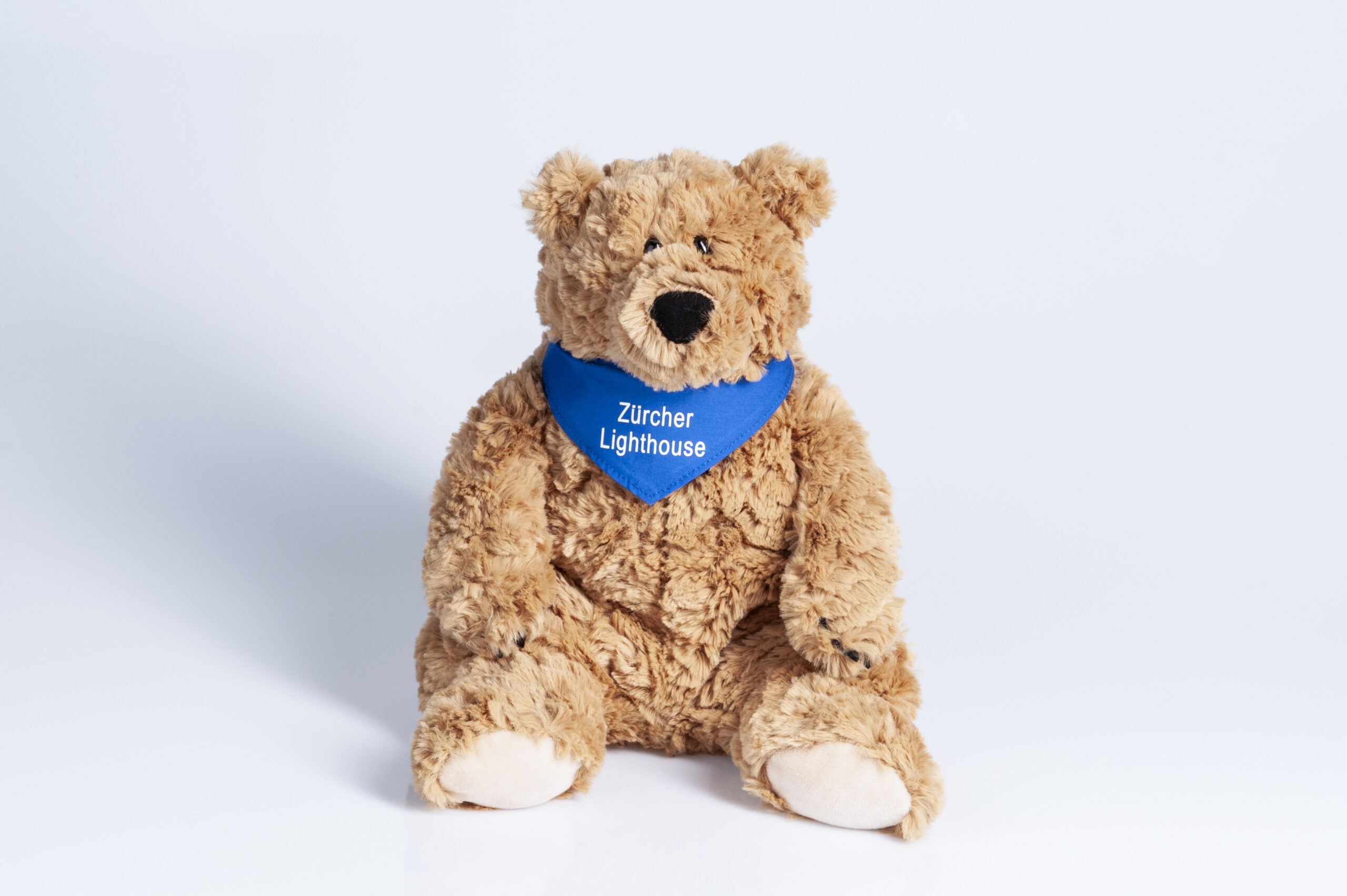 Teddybär Howi ist eine bärenstarke Unterstützung für die Palliative Pflege des Zürcher Lighthouse, Danke für jede Bestellung im Onlineshop