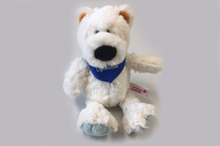 Teddybär Rudi, eine bärenstarke Unterstützung für die Palliative Pflege des Zürcher Lighthouse, Dank Bestellungen im Onlineshop